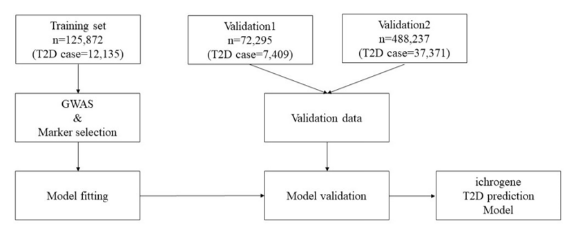 Diagram of ichrogene T2D prediction PRS model.